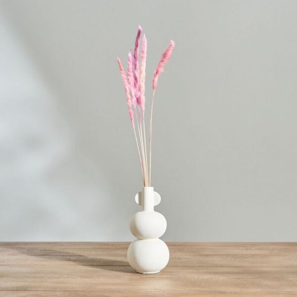 baytonia_main product photo
