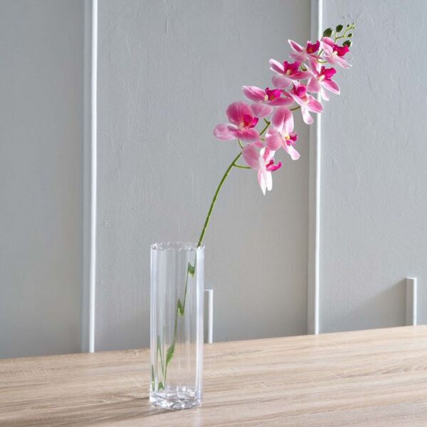 baytonia_main product photo