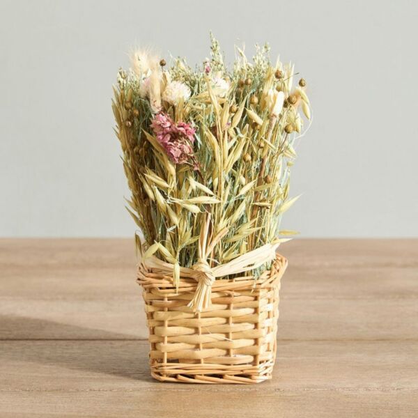 baytonia_main product photo