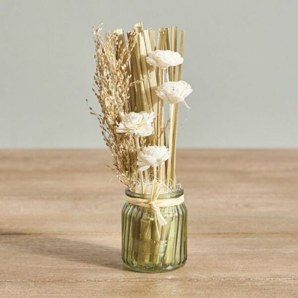 baytonia_main product photo