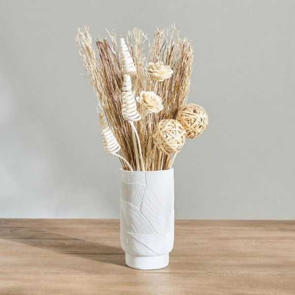 baytonia_main product photo