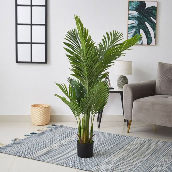 baytonia_main product photo
