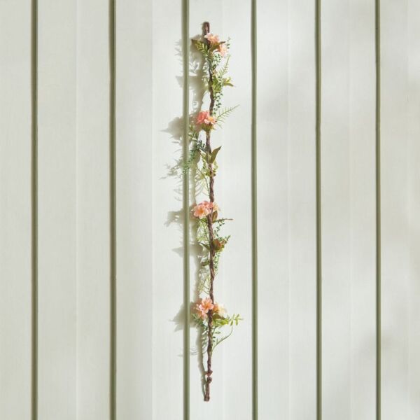 baytonia_main product photo