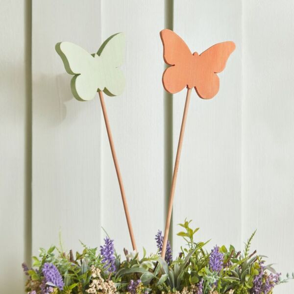 baytonia_main product photo