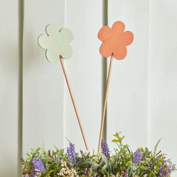 baytonia_main product photo