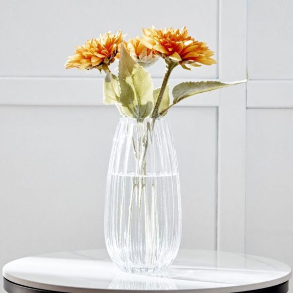 baytonia_main product photo