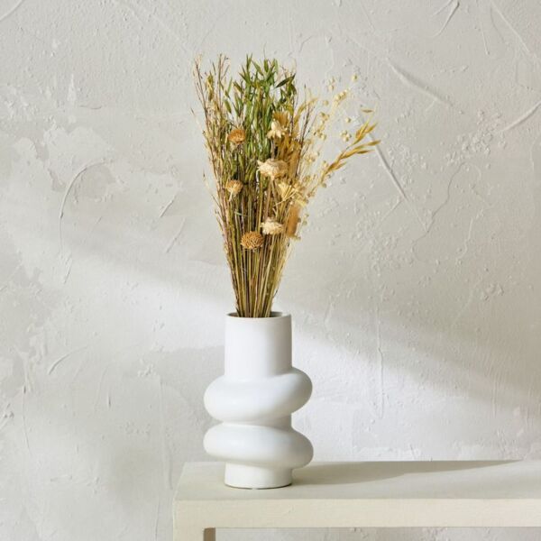 baytonia_main product photo