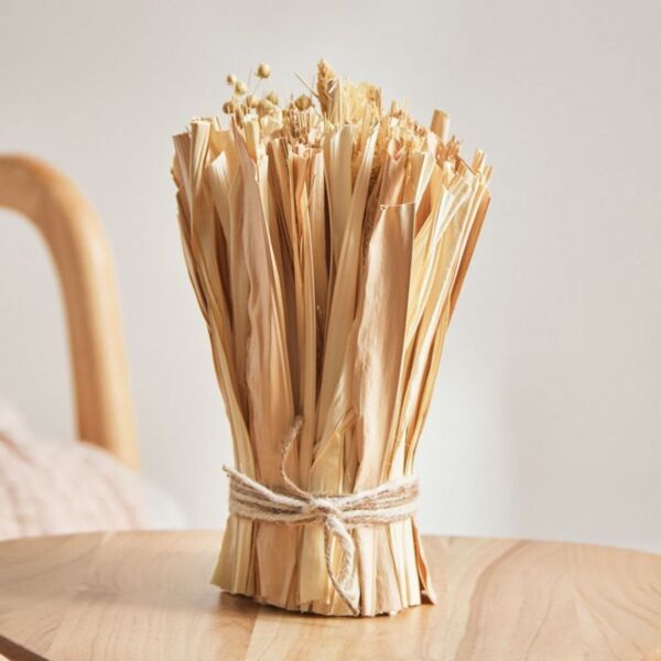 baytonia_main product photo