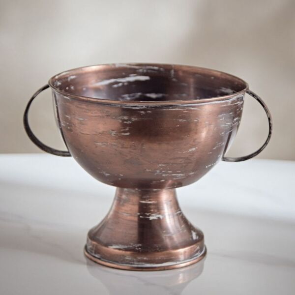 baytonia_main product photo