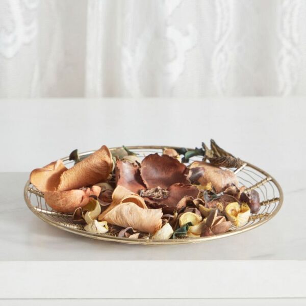 baytonia_main product photo