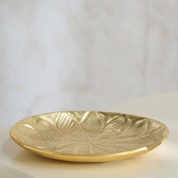baytonia_main product photo