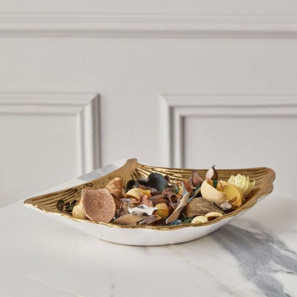 baytonia_main product photo