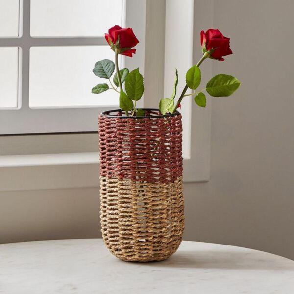 baytonia_main product photo