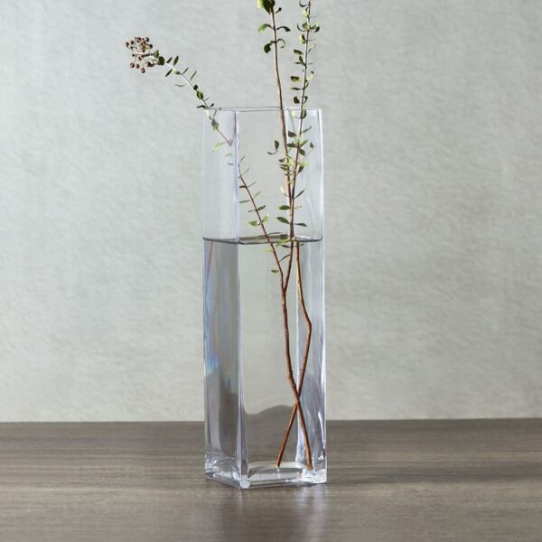 baytonia_main product photo