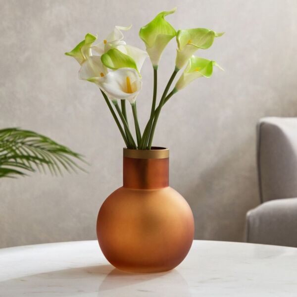 baytonia_main product photo