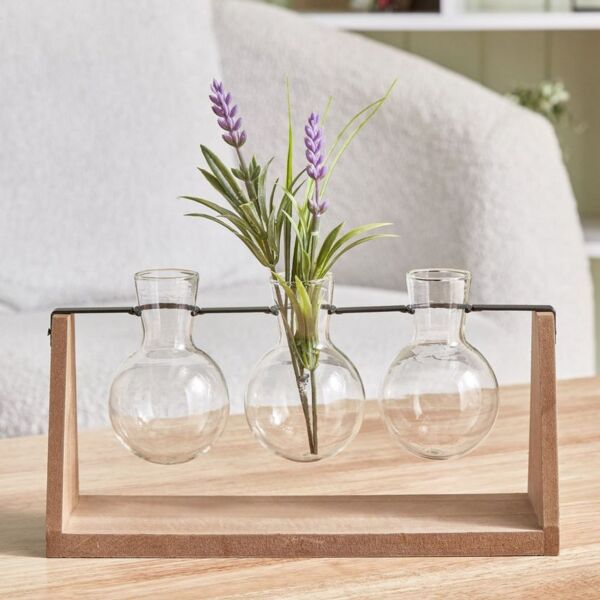 baytonia_main product photo