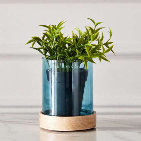 baytonia_main product photo