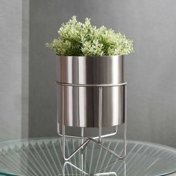 baytonia_main product photo