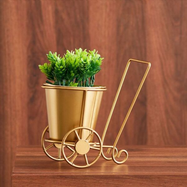 baytonia_main product photo