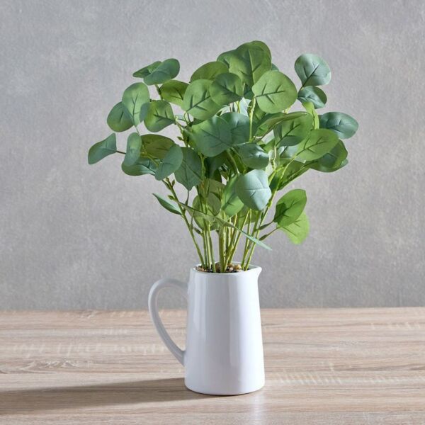 baytonia_main product photo