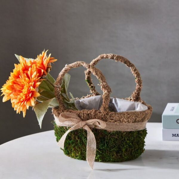 baytonia_main product photo