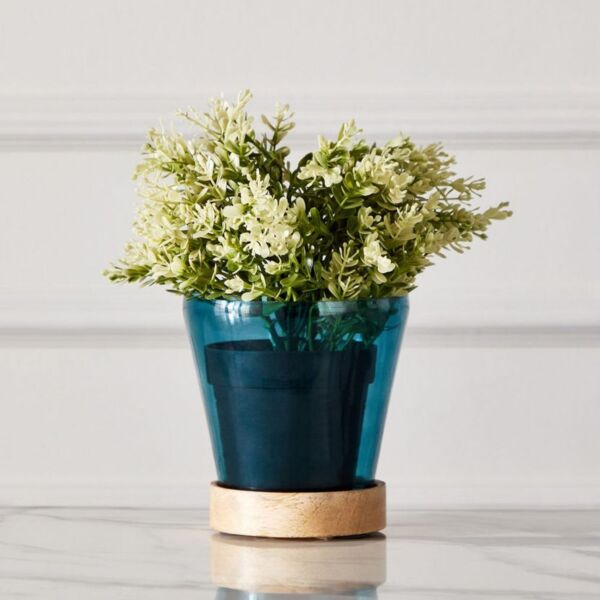 baytonia_main product photo