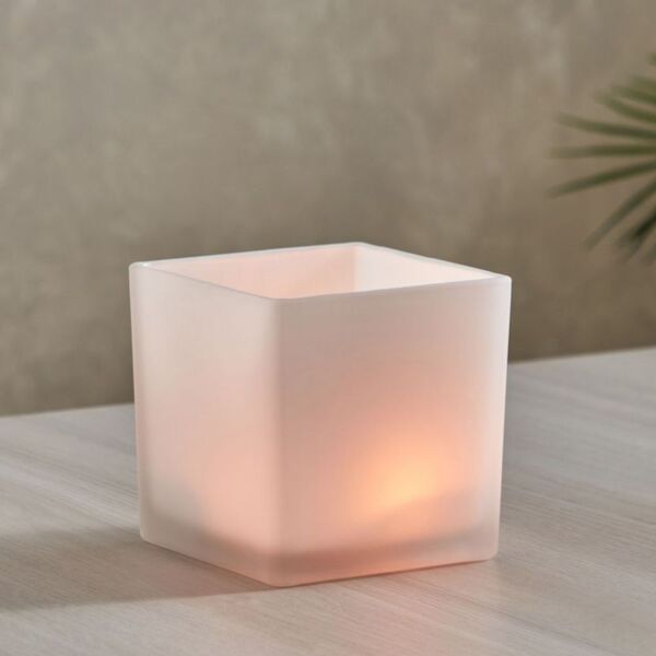 baytonia_main product photo