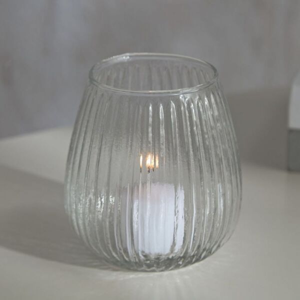 baytonia_main product photo