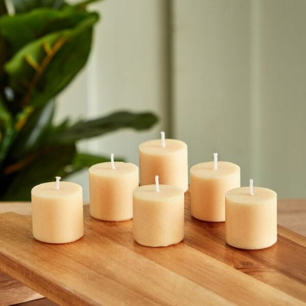 baytonia_main product photo