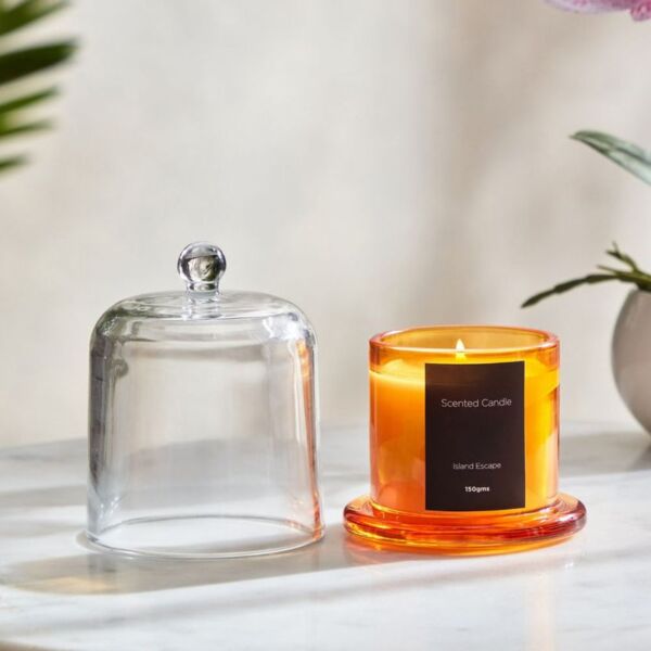 baytonia_main product photo