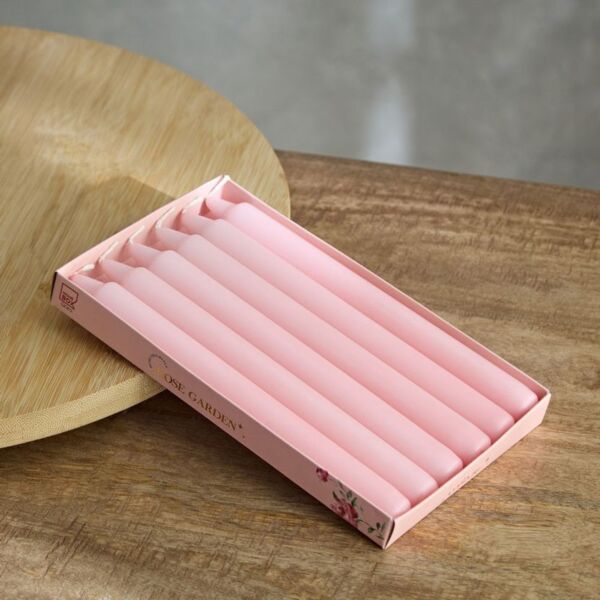 baytonia_main product photo