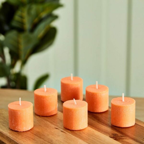 baytonia_main product photo