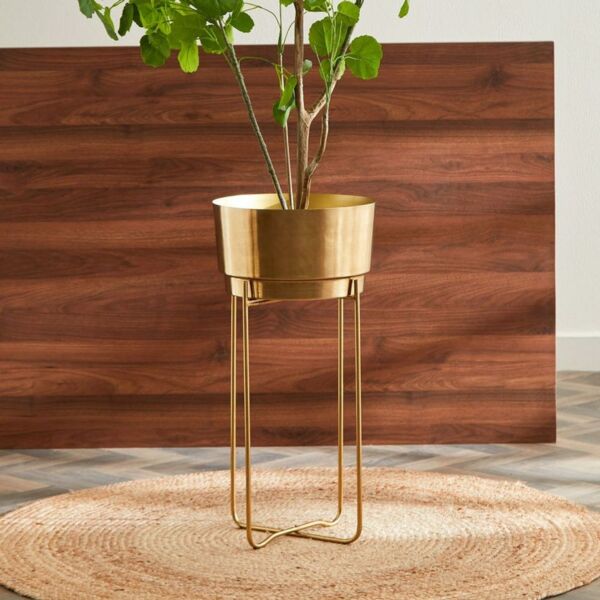 baytonia_main product photo