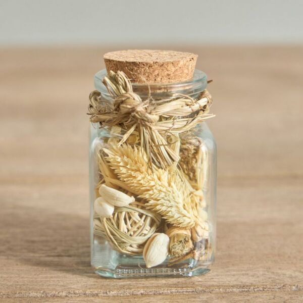 baytonia_main product photo