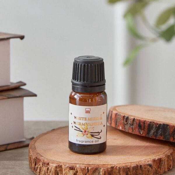 baytonia_main product photo