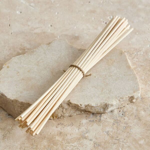baytonia_main product photo