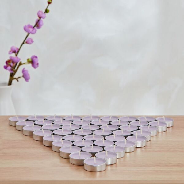 baytonia_main product photo