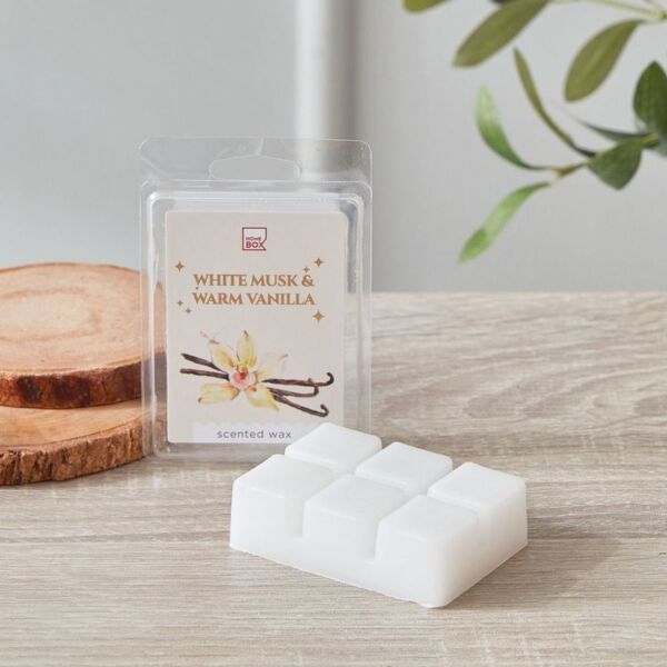 baytonia_main product photo