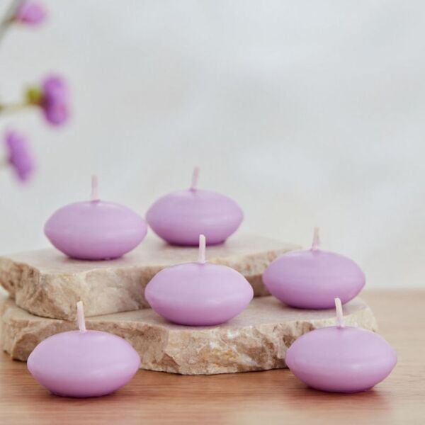 baytonia_main product photo