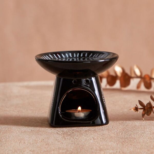 baytonia_main product photo