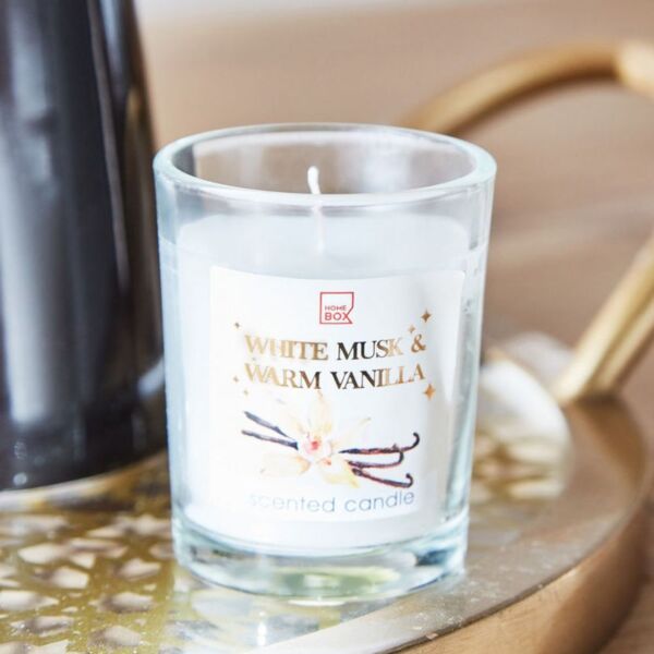 baytonia_main product photo