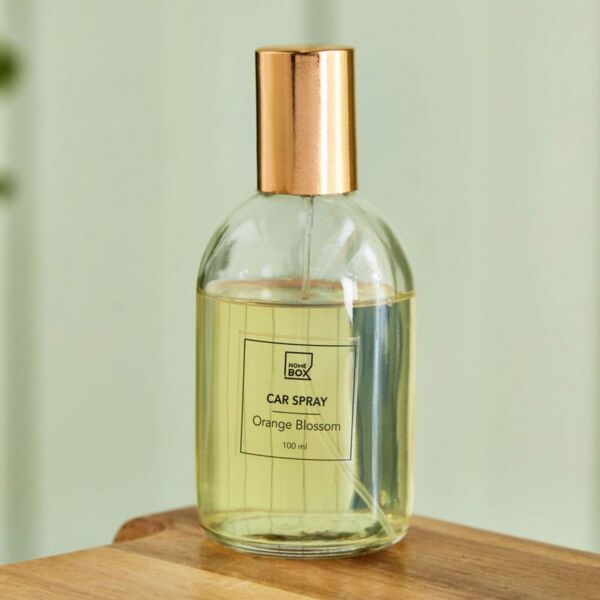 baytonia_main product photo