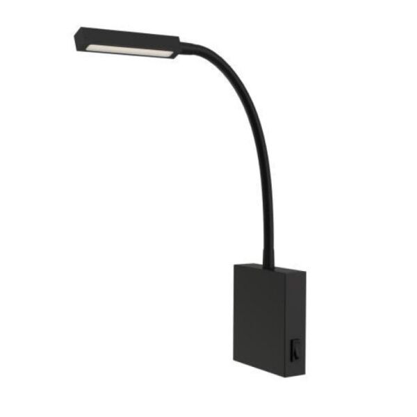 baytonia_main product photo