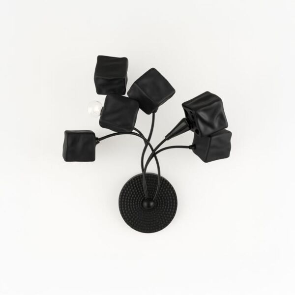 baytonia_main product photo