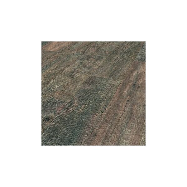 baytonia_main product photo