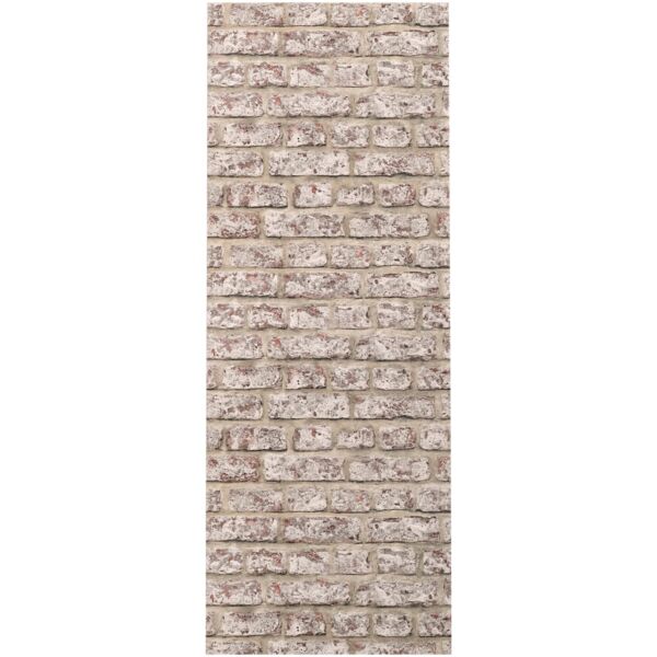 baytonia_main product photo