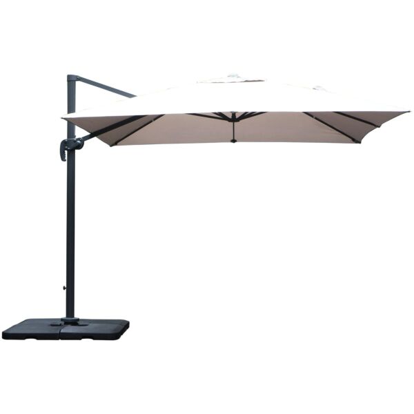 baytonia_main product photo