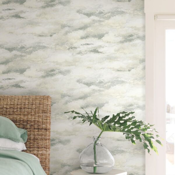 baytonia_main product photo