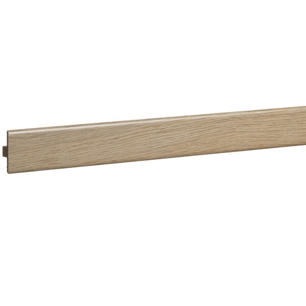 baytonia_main product photo