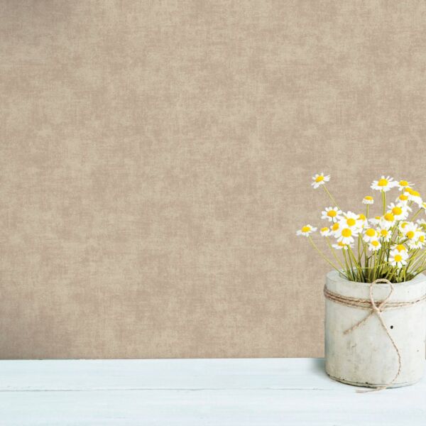 baytonia_main product photo